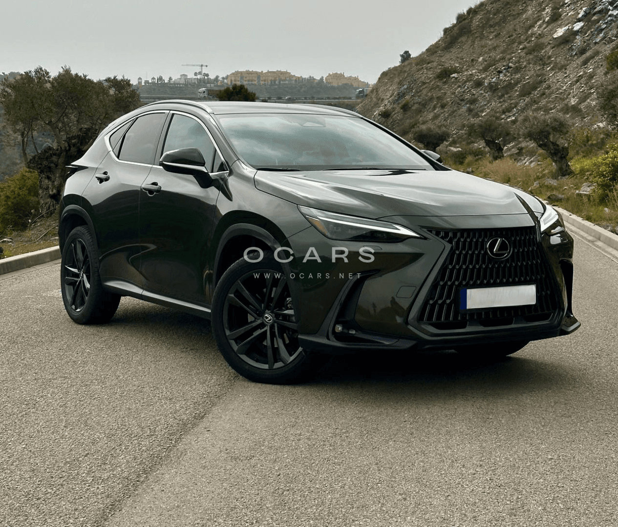 Lexus NX350h